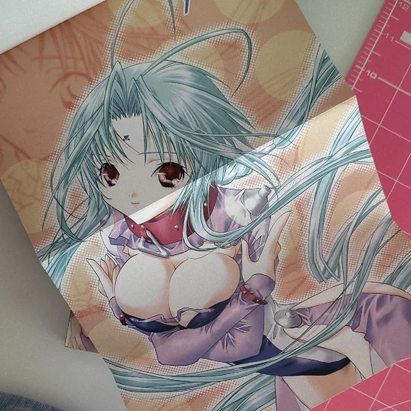 DearS manga set with posters - Picture 4 of 4